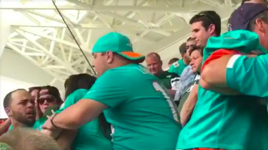 (VIDEO): Dolphins Fans Fight, Argue In Stands