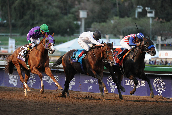 Sizing Up the 2015 Breeders’ Cup Classic