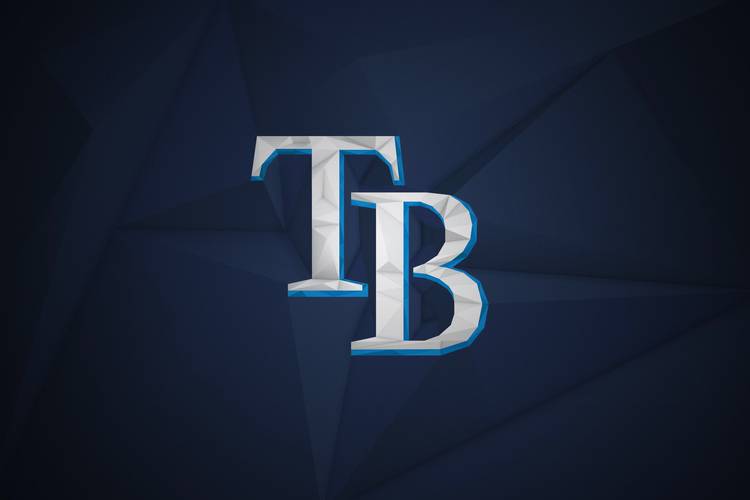 Tampa bay pro sports avatar