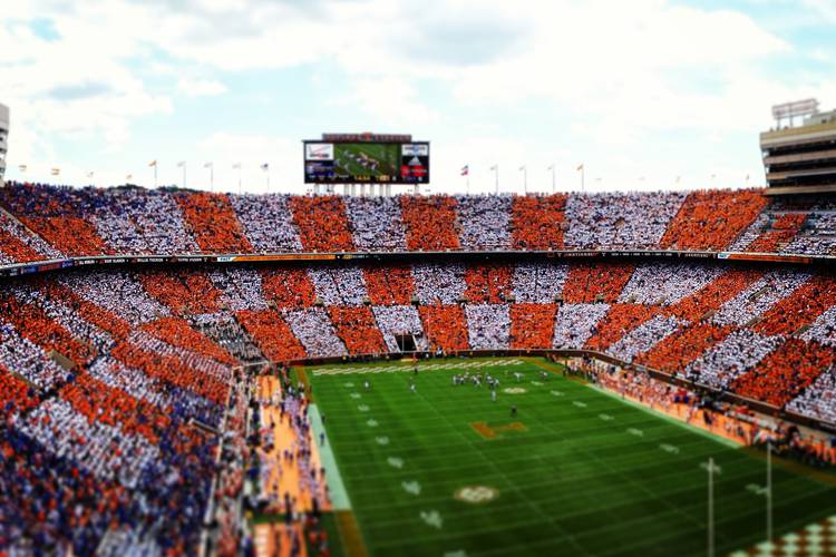 Views from rocky top avatar