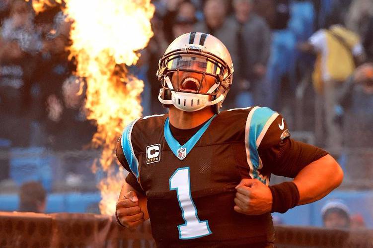 The panthers press avatar