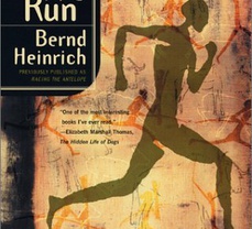 Book Review: Why We Run, by Bernd Heinrich
