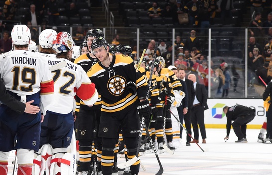 The Boston Bruins announcer compared the team's Game 7 loss to the Hindenburg disaster...