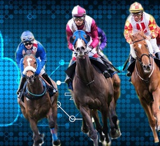  
Which Races are the Best Predictors of Kentucky Derby Success?