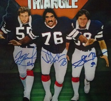 The Bermuda Triangle - Reunited