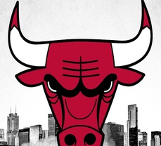 Chicago Bulls Season Ahead! 