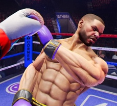   
Online Boxing Games
