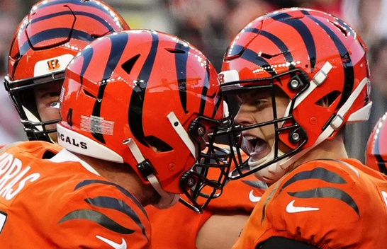 NFL Championship Sunday Predictions 