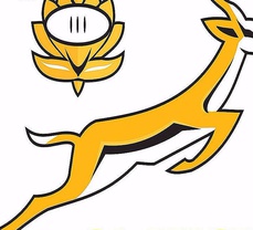 Confusion in Bok Administration runs deep