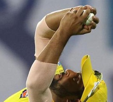 Top 5 Players who take Most Catches in IPL