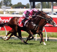 BLUE SAPPHIRE STAKES DAY