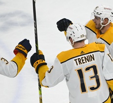 The young Nashville Predators might mess around and make the playoffs