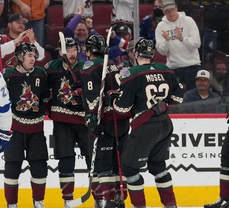 The Arizona Coyotes are getting relentlessly mocked for videos of their new home arena