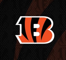 Report: NFL Isn't Taking Investigation into Bengals, Joe Burrow's Injury 'Lightly'