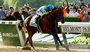 Previewing the Best Picks for the 2017 Belmont Stakes