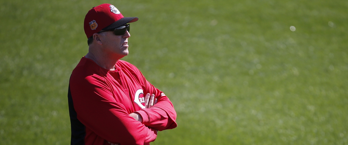 Sports: Cincinnati Reds - Workouts Sports: Cincinnati Reds - Workouts