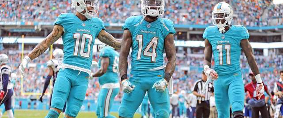 2017 Miami Dolphins Preview