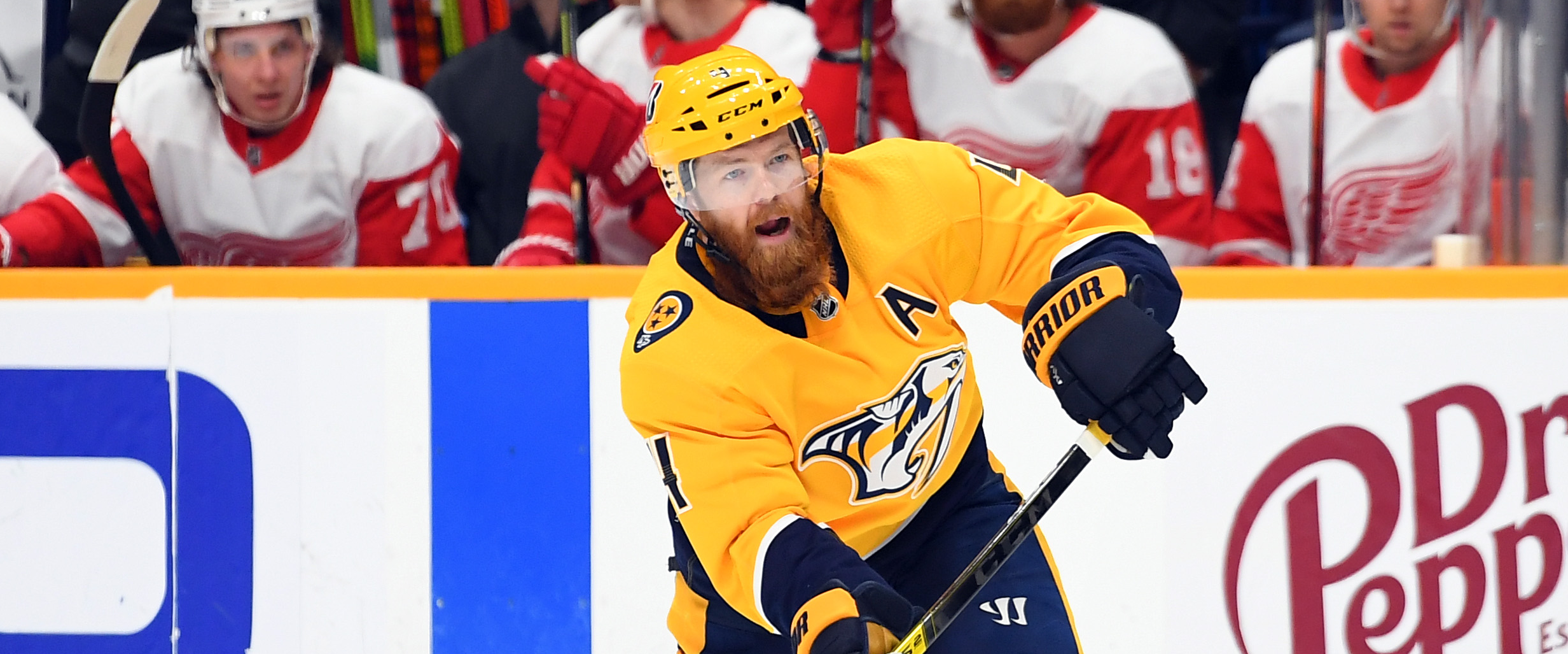 Predators: No not the injury bug!