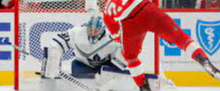 The Leafs Goalie Situation is in the system and here's why